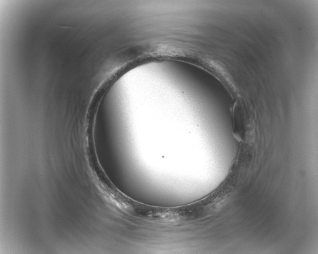 X0000065960395200603101427