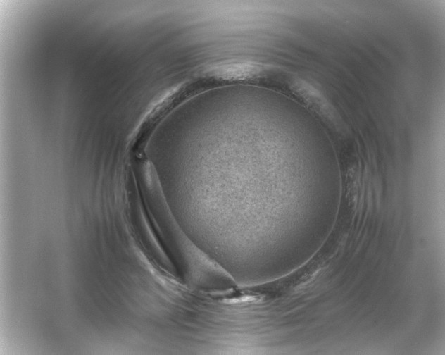 X0000065960400200603101427