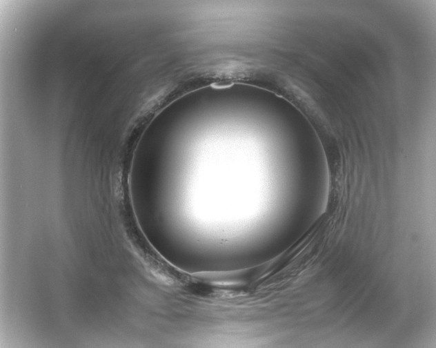 X0000065960403200603101427