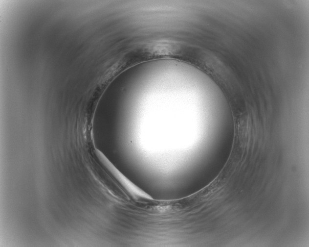X0000065960406200603101427