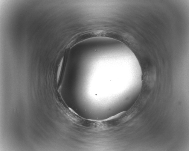X0000065960421200603101427