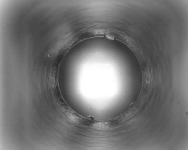 X0000065960422200603101427