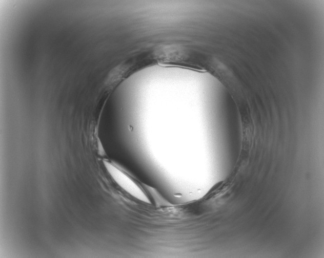 X0000065960429200603101427