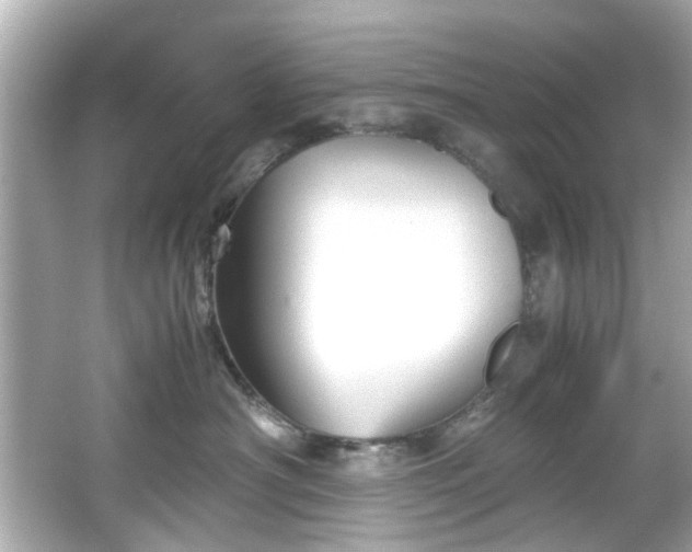 X0000065960430200603101427
