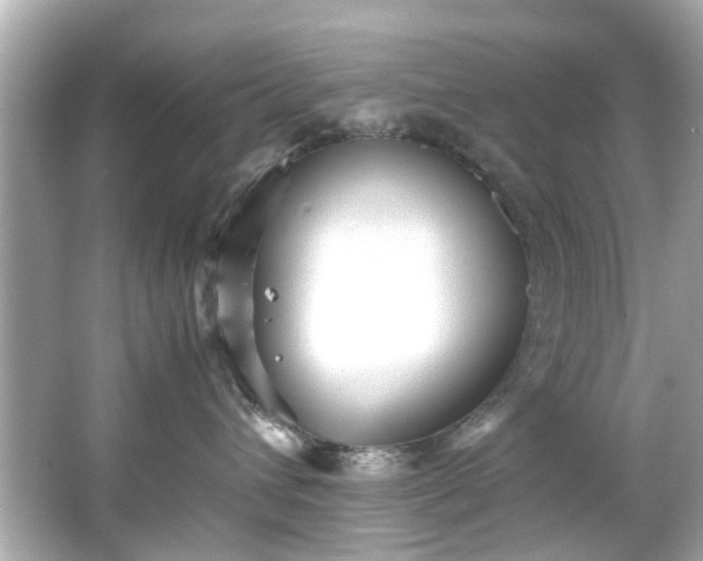 X0000065960432200603101427