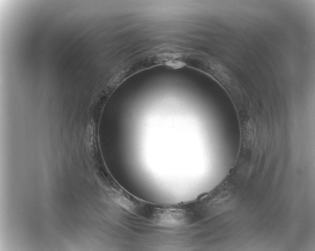 X0000065960463200603101426