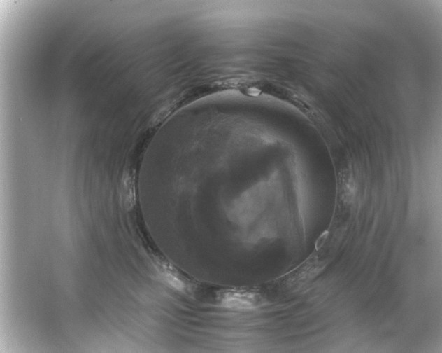X0000065960471200603101427