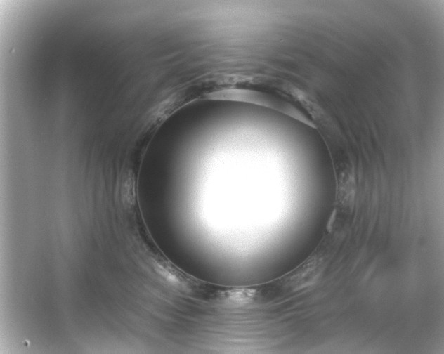 X0000065960474200603101427