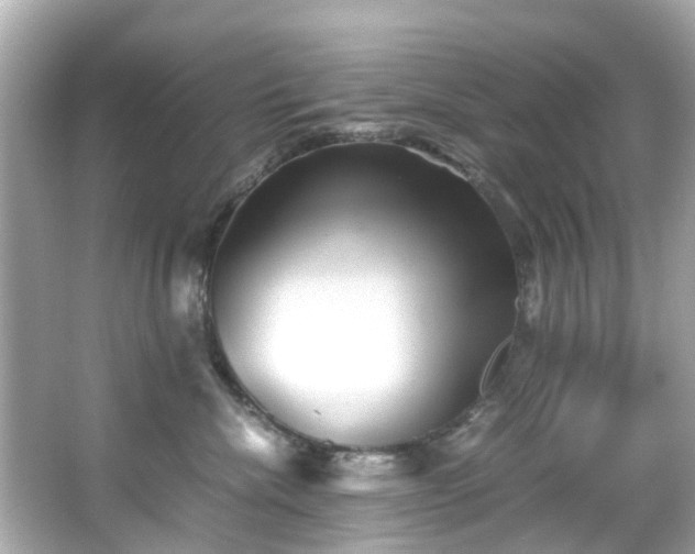 X0000065960476200603101427