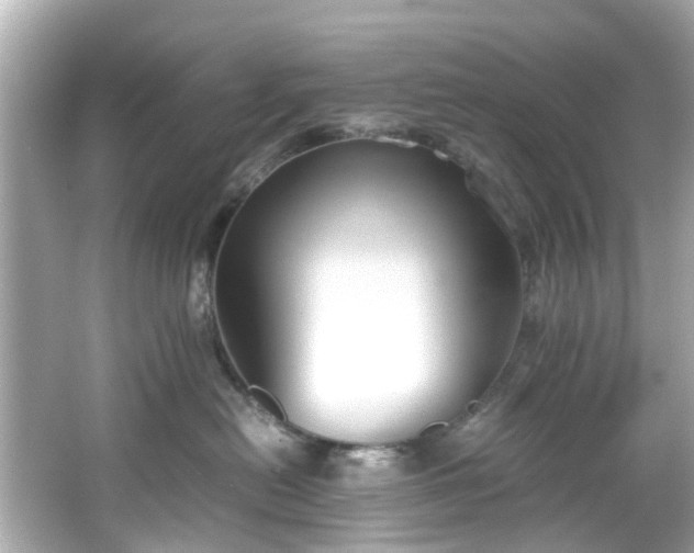 X0000065960478200603101427