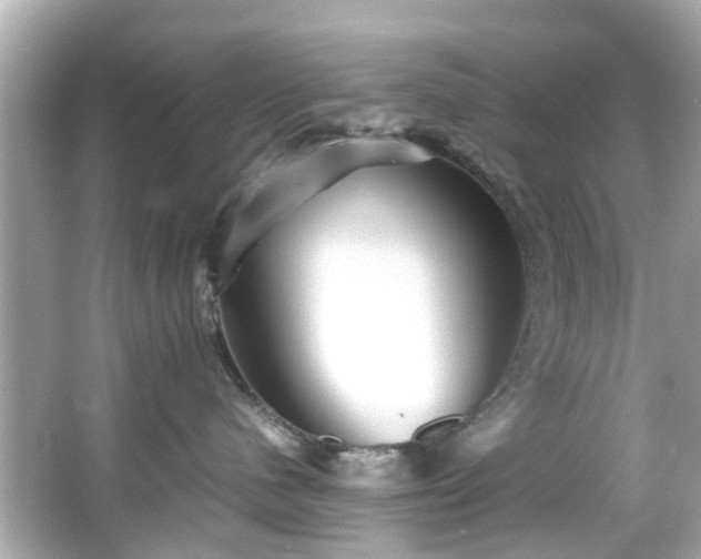 X0000065960480200603101427