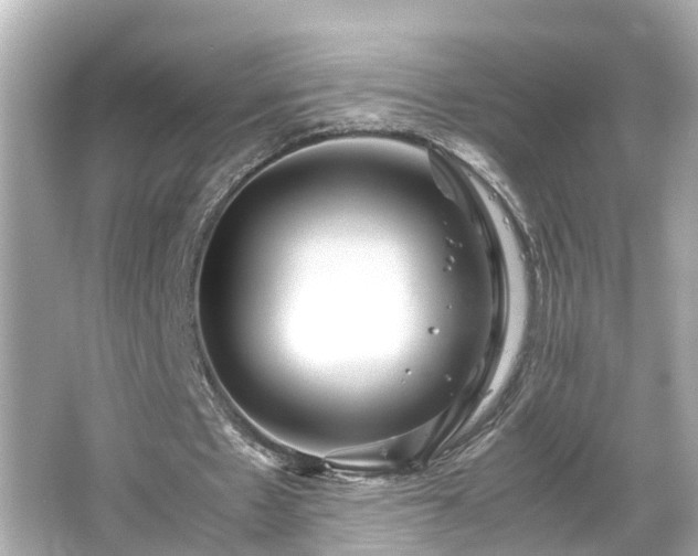 X0000065960481200603101426