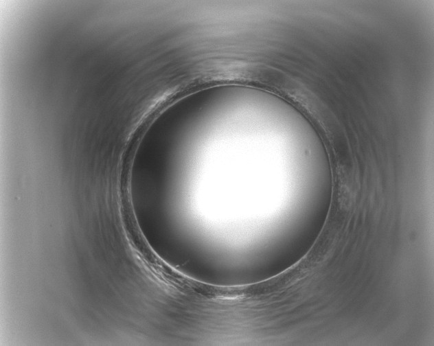 X0000065960482200603101426