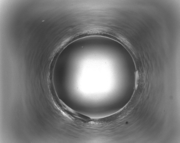 X0000065960485200603101426