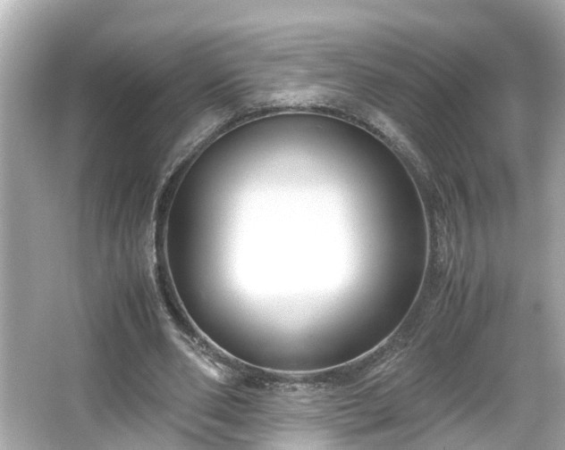 X0000065960486200603101426
