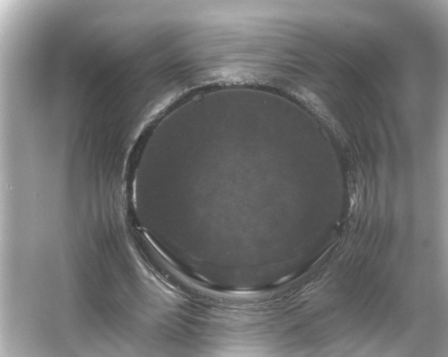 X0000065960488200603101426