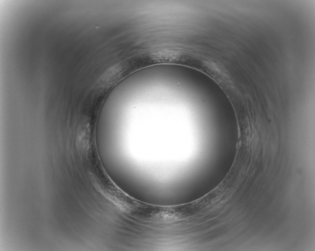 X0000065960498200603101426