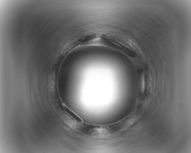 X0000065960509200603101425