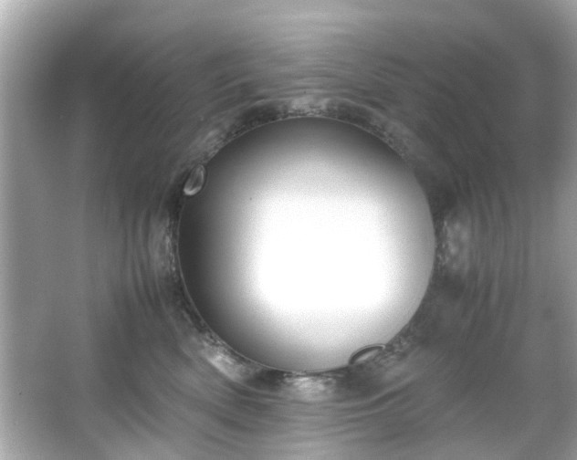X0000065960522200603101425