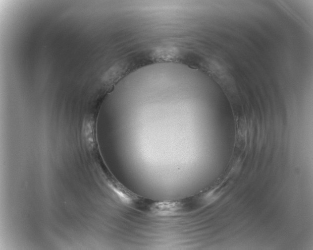 X0000065960526200603101425