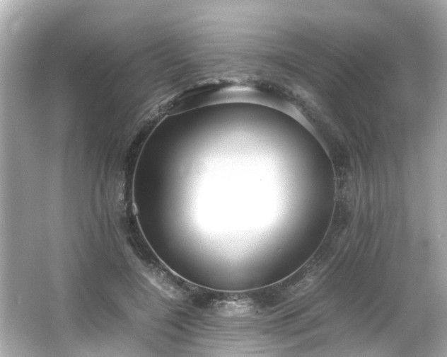 X0000065960548200603101425