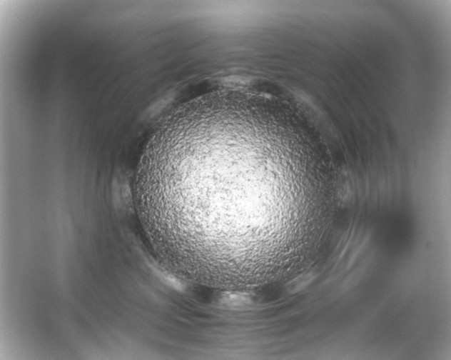 X0000065960573200603101425