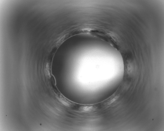 X0000065960575200603101425