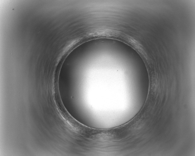X0000065960578200603101424