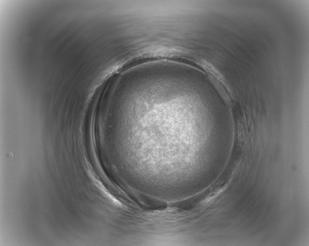 X0000065960581200603101424