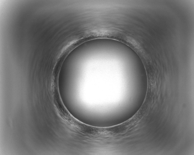 X0000065960583200603101424