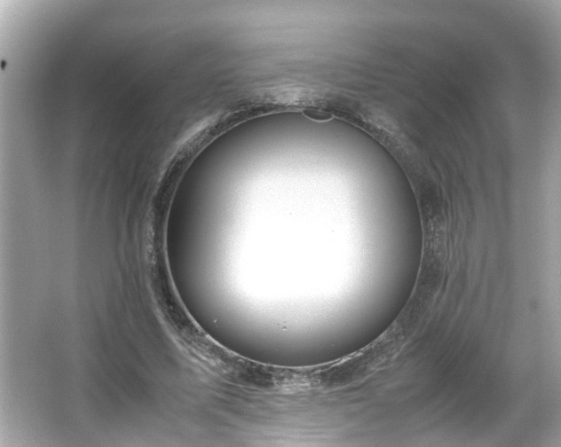 X0000065960587200603101424