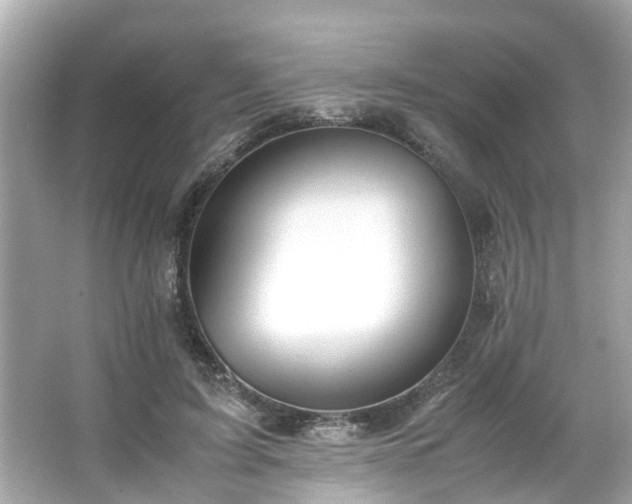X0000065960595200603101424