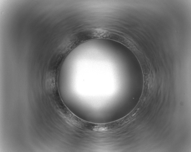 X0000065960602200603101424