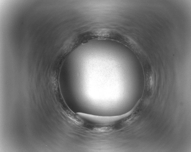 X0000065960609200603101424