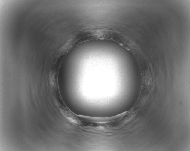 X0000065960611200603101424