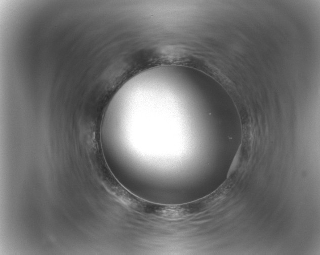 X0000065960615200603101424