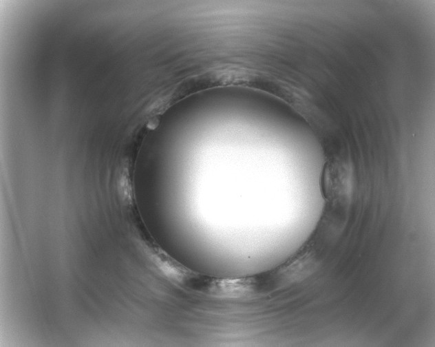 X0000065960622200603101424