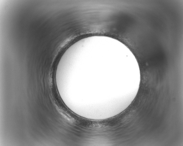 X0000065960632200603101423
