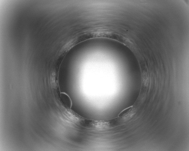 X0000065960670200603101423