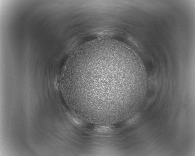 X0000065960671200603101424
