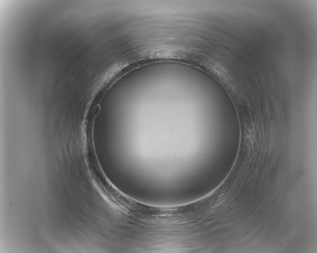 X0000065960678200603101423