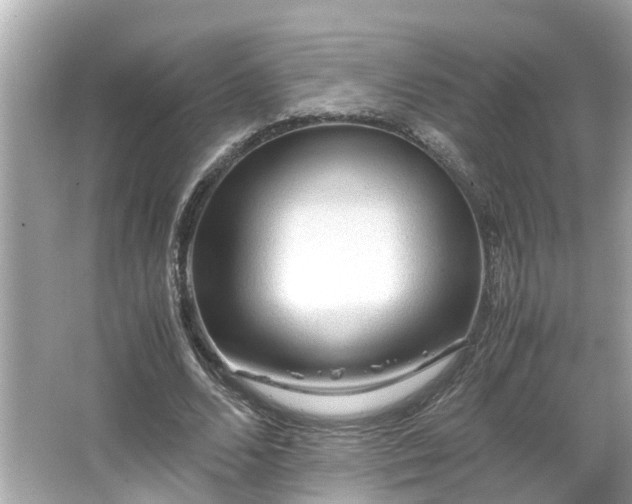 X0000065960680200603101423
