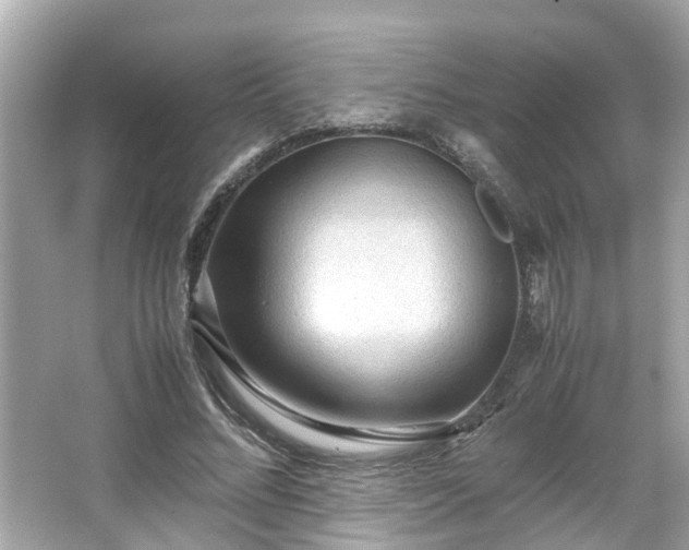 X0000065960684200603101423