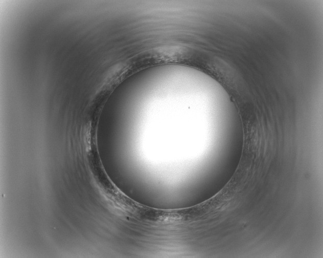 X0000065960694200603101422