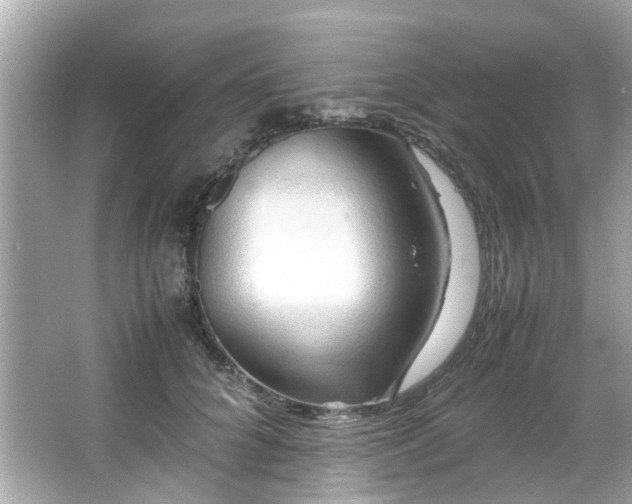X0000065960704200603101422