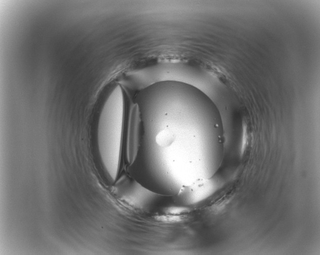 X0000065960735200603101421