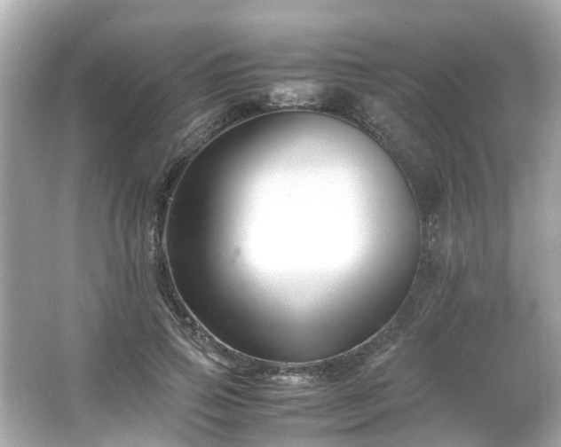 X0000065960741200603101421