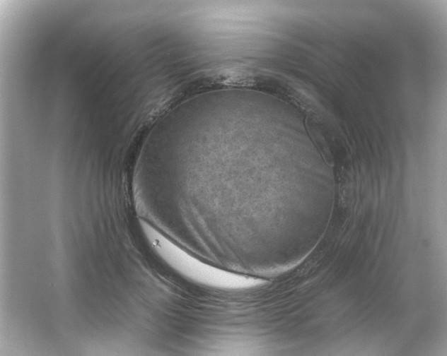 X0000065960748200603101422