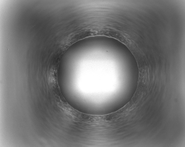 X0000065960770200603101421