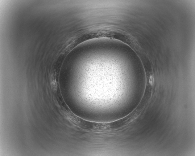 X0000065960771200603101421